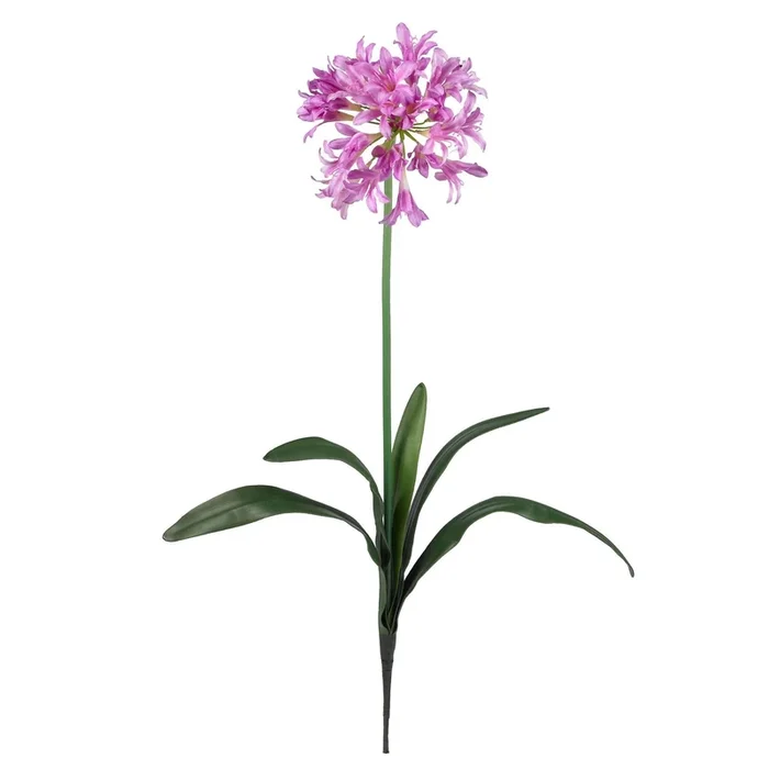 29″ African Lily Stem (Set of 12)”