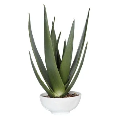 30″ White and Green Evarado Aloe Artificial Plant