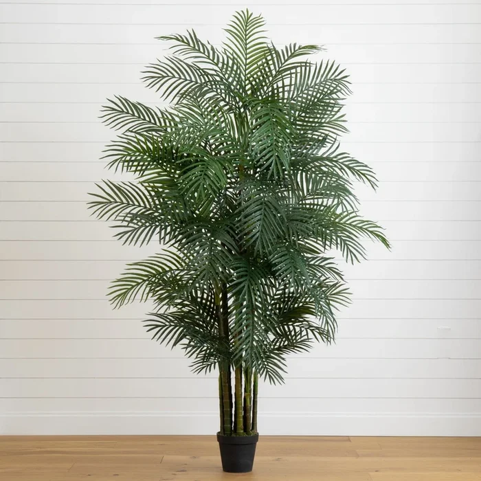 7.5′ Areca Palm W/1966 Lvs UV Resistant (Indoor/Outdoor)