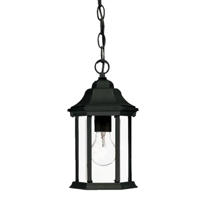 Acclaim Lighting Madison 1 Light Outdoor Pendant with Clear Seeded Glass