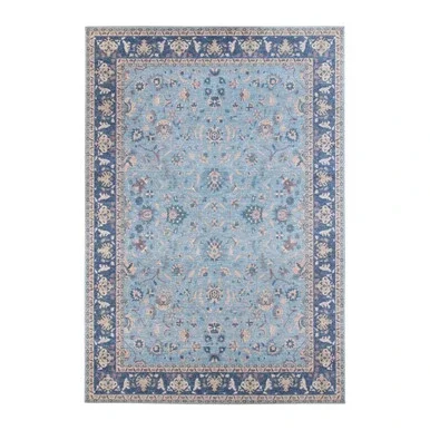 Amer Rugs Myra Clarisse Light Blue Polyester 2’x3′ Area Rug MYR50203