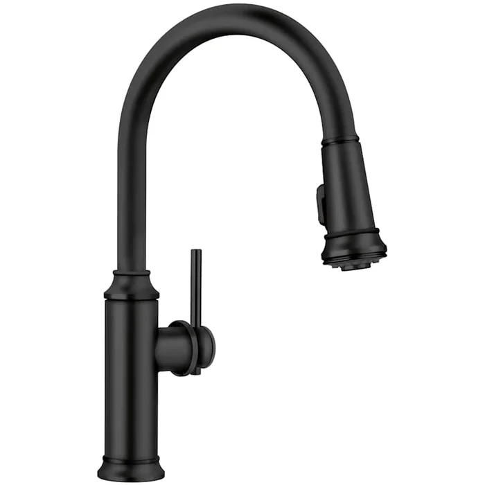 Blanco Empressa 1.5 GPM Single Hole Pull Down Kitchen Faucet