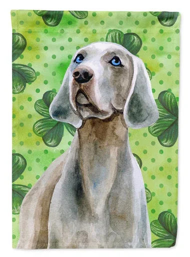 Caroline’s Treasures BB9848GF Weimaraner St Patrick’s Flag Garden Size , Small, multicolor