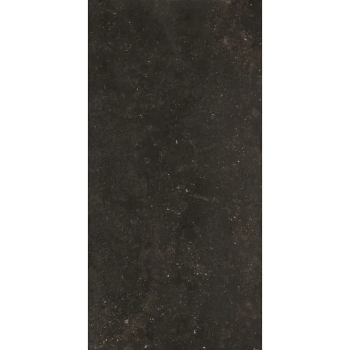 Daltile Diplomacy – 40″ x 20″ Rectangle Exterior Paver Tile – Textured Visual – Sold by Carton (5.38 SF/Carton)