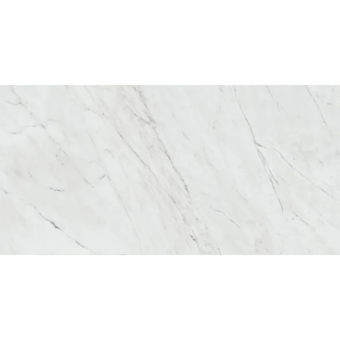 Daltile Sample Only of MA2424MT1P
