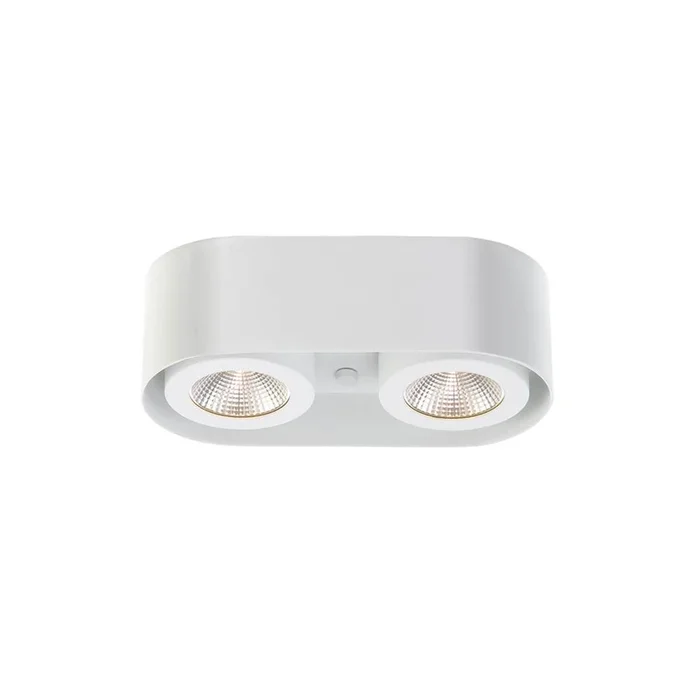 Eurofase Nymark 2-Light Surface Mount