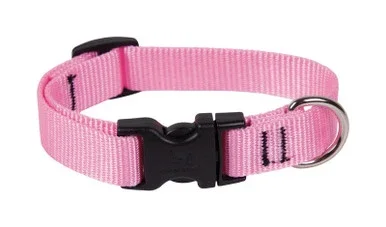 Lupine Pet Basic Solids Pink Pink Nylon Dog Adjustable Collar – Case Of: 1; – 8424756
