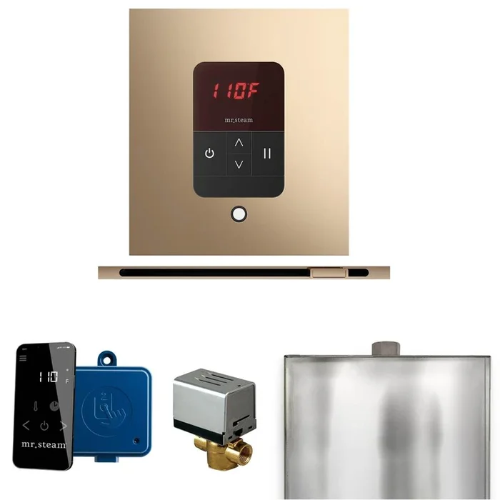 Mr. Steam Basic Butler Steam Shower Control Package with Square iTempo Control and Linear Steamhead in Polished Gold