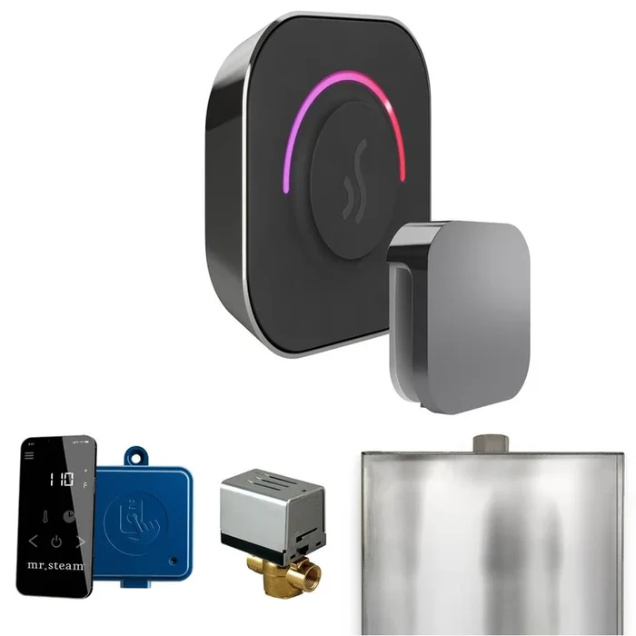 Mr. Steam ButlerTouch Steam Shower Control Package with TempoTouch Control and Steamhead in Brilliant Black