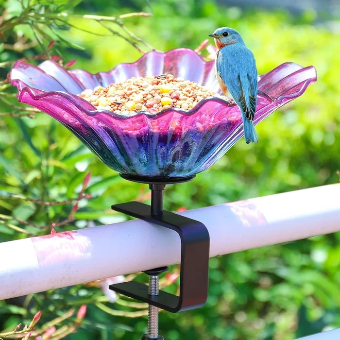 Outdoor Garden Bird Bath Bowls and Bird Feeders