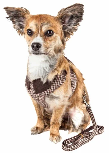 Pet Life Luxe ‘Houndsome’ 2-In-1 Mesh Reversible Plaided Collared Adjustable Dog Harness-Leash