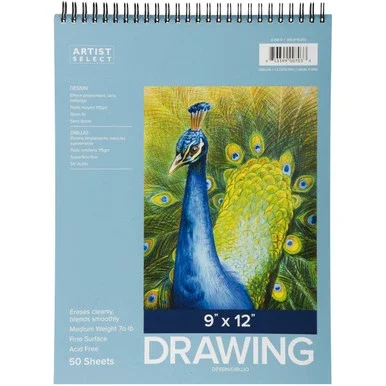 Pro Art Drawing Pad 9″X12″-Wire Bound 50 Sheets