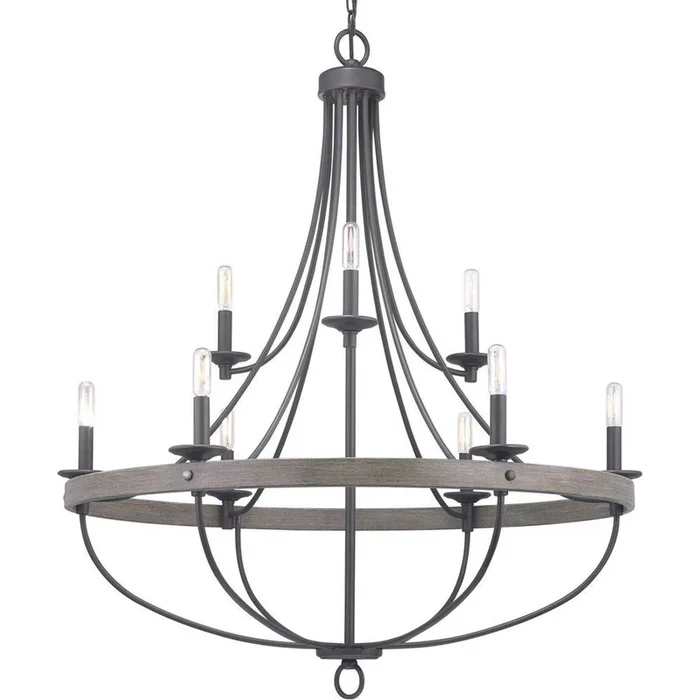 Progress Lighting Gulliver Collection Nine-Light Graphite Coastal Chandelier Light