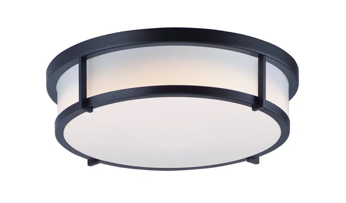 Rogue E26 Flush Mount