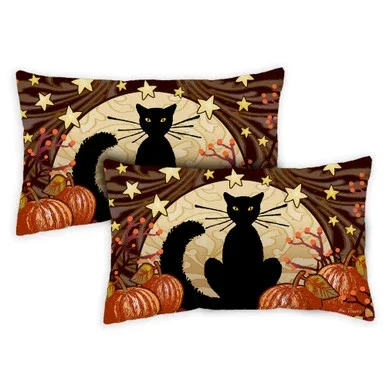 Set of 2 Halloween Spooky Cat Outdoor Patio Throw Pillow Covers 19″