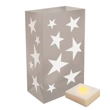 Set of 6 Battery Operated Silver Stars Design Luminaria Kit 10″