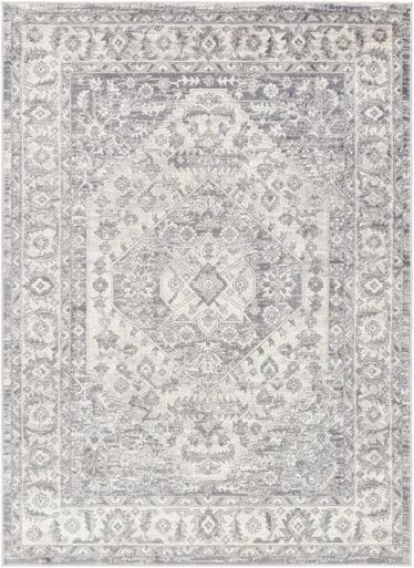 Surya Alamo Polypropylene And Polyester 5’3″ x 7′ Area Rugs ALO2303-537
