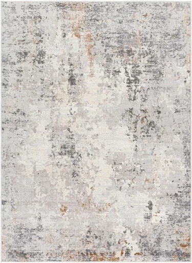 Surya Alamo Polypropylene And Polyester 7’10” x 10′ Area Rugs ALO2313-71010